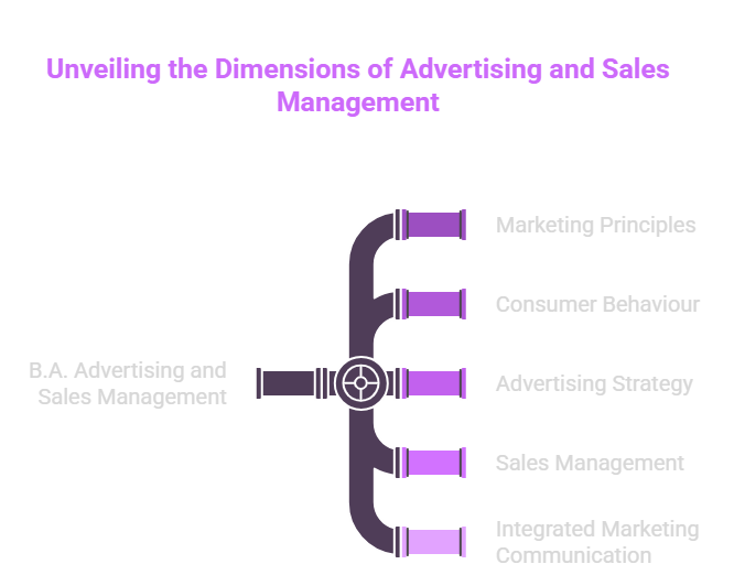 B.A. Advertising and Sales Management (Honours)